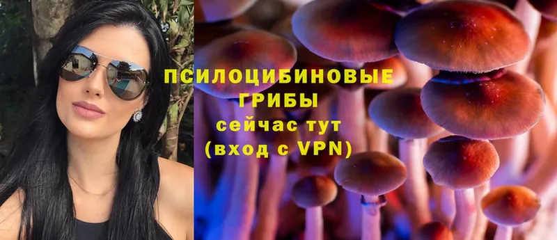 Галлюциногенные грибы Magic Shrooms  сколько стоит  Балаково 