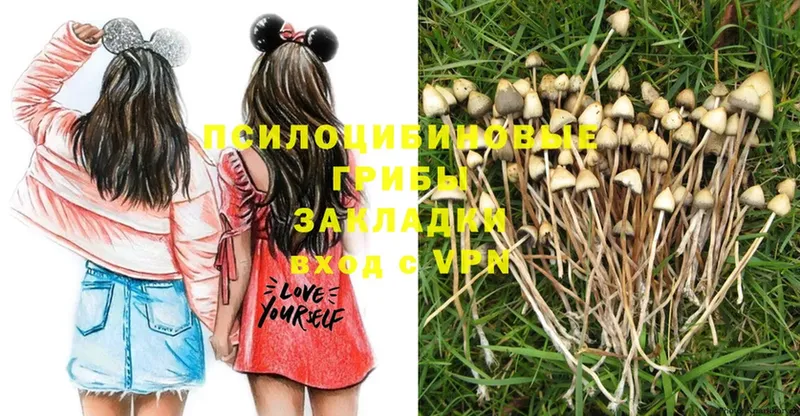 Галлюциногенные грибы MAGIC MUSHROOMS Балаково